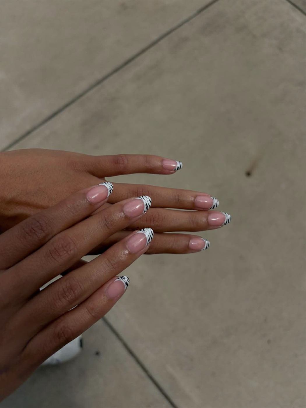 Zebra French